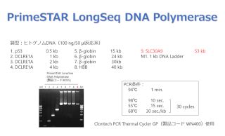 Primestar Max Dna Polymerase Ver