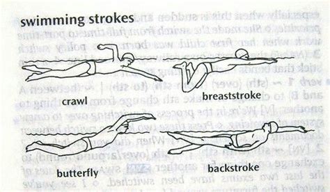 Types Of Swimming Strokes Joaquinoibush