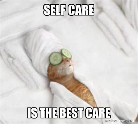 Self Care Is The Best Care Pampered Cat Meme Meme Generator