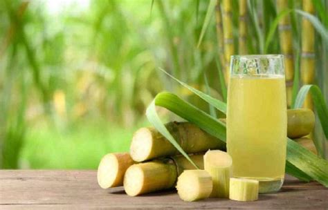 Excellent Health Benefits Of Sugarcane Juice Such Tv