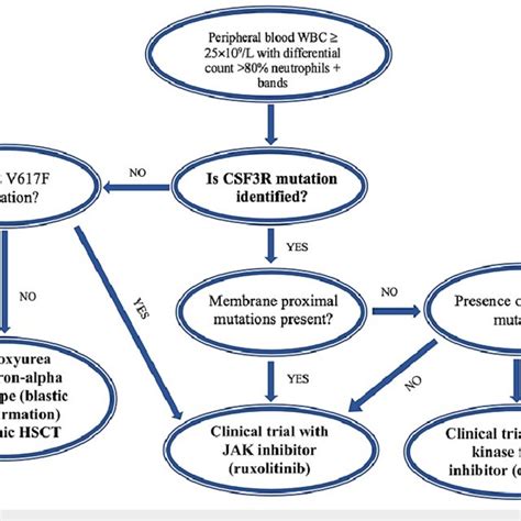 The Diagnosis And Management Algorithm For Chronic Neutrophilic