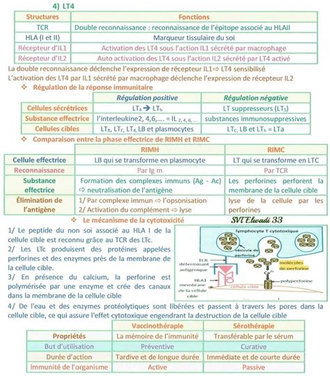 Bac Sc Exp Rimentales Sciences Svt R Sum Immunit