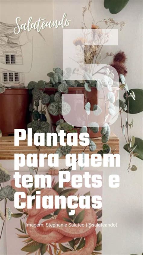 Pin Em Plants Plantas