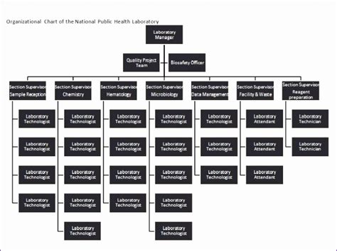 7 org Chart Template Excel - Excel Templates