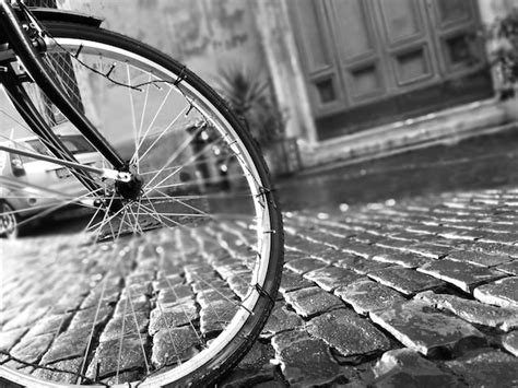 Premium Photo | Black black and white transportation bicycle monochrome ...