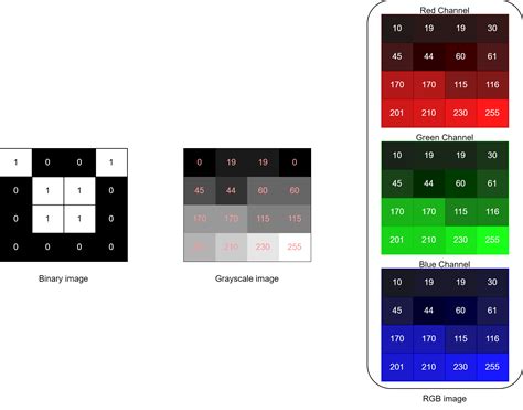 Image Processing: Sampling and Quantization | Baeldung on Computer Science