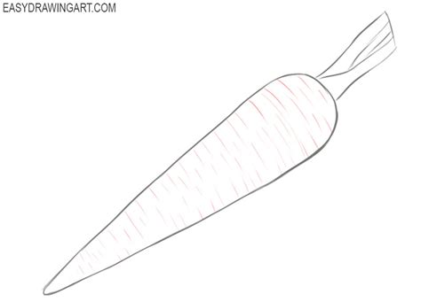 How to Draw a Carrot - Easy Drawing Art