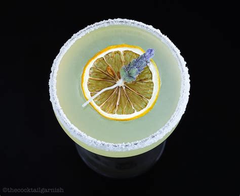 Dehydrated Premium Lemon Wheel Garnishes For Cocktails Dried Fruit