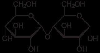 Maltose - Alchetron, The Free Social Encyclopedia