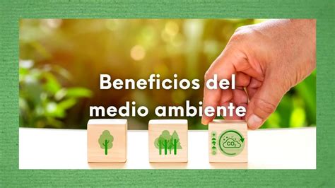 Cuáles son los beneficios de la ecologia Descubre los 10 beneficios