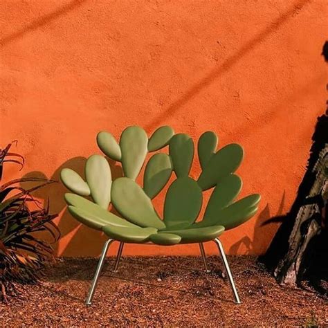 Cactus Collector On Instagram Cactuscollector Cactus Cactos Cacti