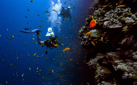 USS Liberty Shipwreck Scuba Dive At Tulamben In Bali Pelago