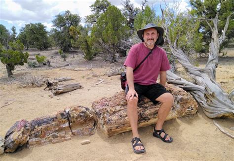 Hiking The Petrified Forest And Sleeping Rainbow Trails At Escalante