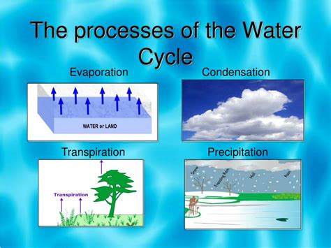 Ppt The Water Cycle And How Humans Impact It Powerpoint Presentation