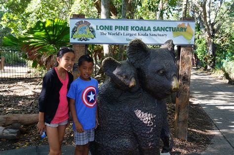 Koala Cuddling and Kangaroo Feeding at Lone Pine Koala Sanctuary - The ...