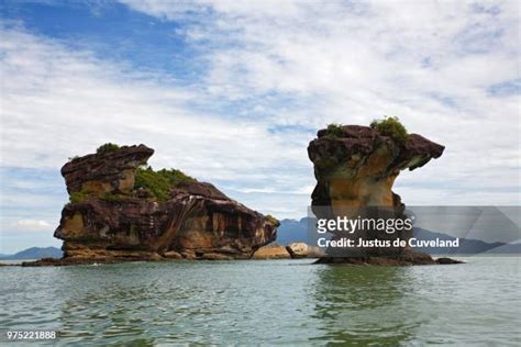 South Borneo Photos And Premium High Res Pictures Getty Images