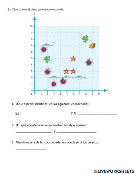 Plano Cartesiano Para Primaria Worksheet Live Worksheets Porn Sex Picture