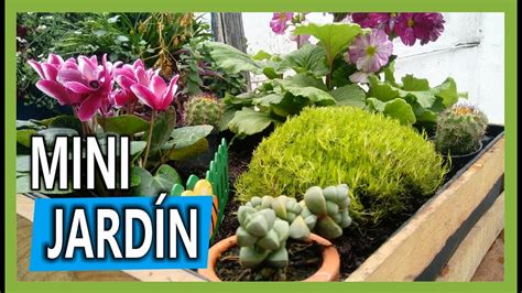 Como hacer un Mini Jardín en casa YouTube