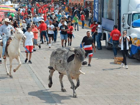 Realizan Embalse De Toros En La Candelaria En Tlacotalpan