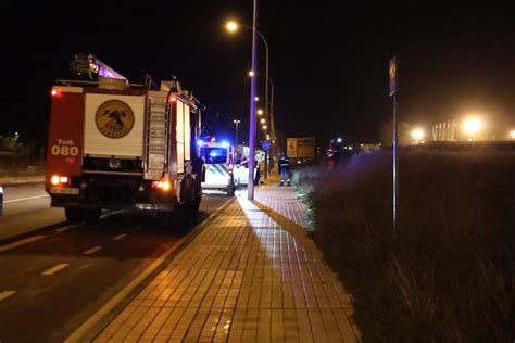 Se Escapan Tres Perros Y Uno De Ellos Resulta Atropellado En La Avenida