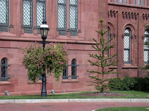 Haupt Garden Smithsonian Institution Washington DC John Boggan