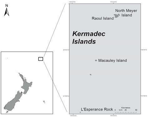 Kermadec Islands Population - Kermadec islands, volcanic island group ...