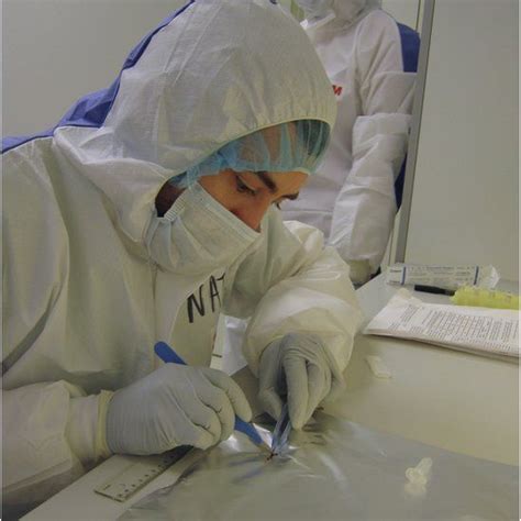 Ancient corn cob shows how maize conquered the world - BBC News