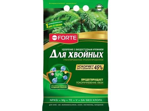 Живая изгородь из ели: подходящие сорта и нюансы выращивания - Дачная ...