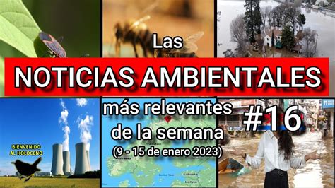 Noticias Ambientales 16 Semana Del 9 15 De Enero 2023 Youtube