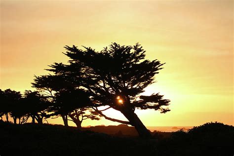 Pacific Grove Sunset Photograph By Art Block Collections Fine Art America