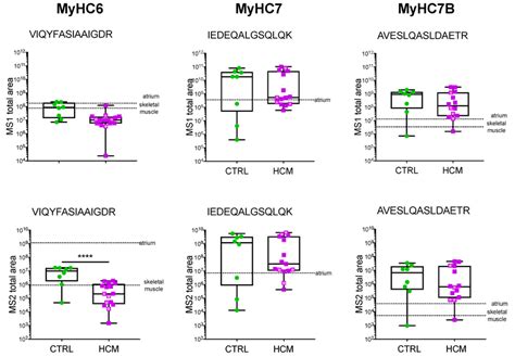 Myosin Protein Analysis By Ms Prm Quantification Of Myosin Isoforms In Download Scientific