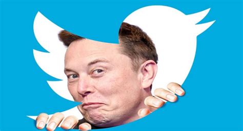 Does Elon Musk Want To Step Down As Head Of Twitter He Conducts Poll