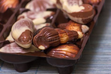 Seashell Chocolates stock image. Image of chocolates - 65321045