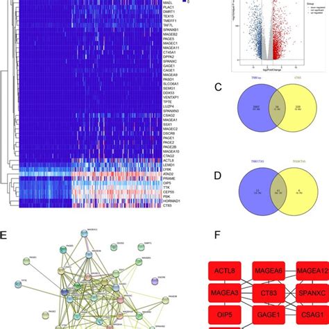 Expression Of Ctas In Triple Negative Breast Cancer Data From Tcga