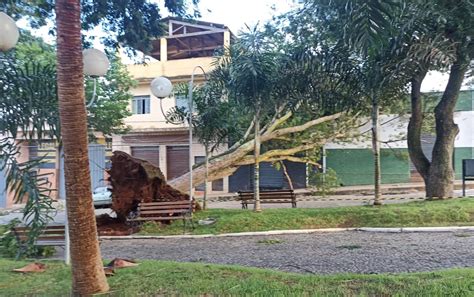 Chuva Derruba árvores E Deixa Moradores Sem Energia Elétrica Em Boa