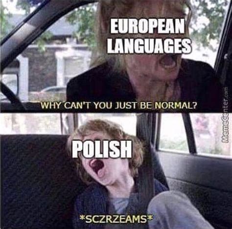 European Languages Vs Polish History Memes History Humor Funny