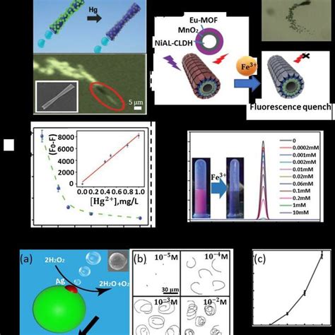 Gases And Other Pollutants Detection By Micromotors A A Schematic