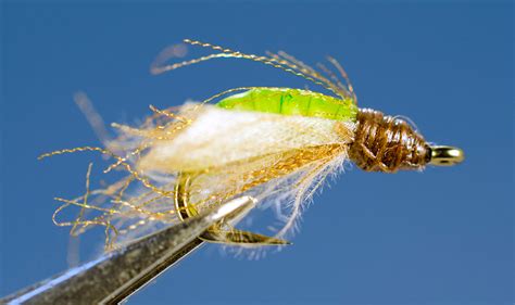 Sns Apple Caddis Pupa Dette Flies