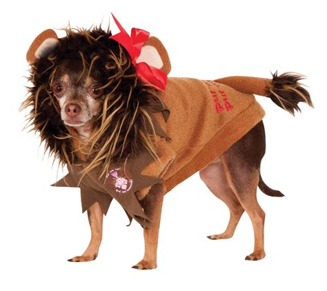 Cowardly Lion Dog Costume - Pet Costume Center