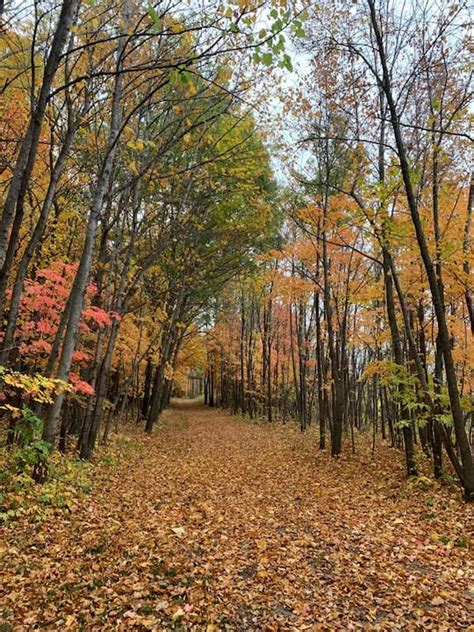 Favorite Local Fall Color Trails • Twin Cities Outdoors