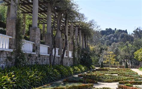 Barcelona Botanical Garden Montjuïc Park | Fasci Garden