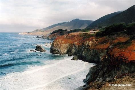 Big Sur coastline, California