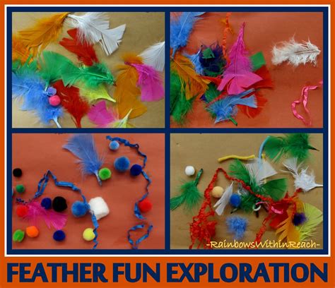 RainbowsWithinReach: Feather Fun Exploration: Feather Collage