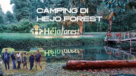 Camping Di Hejo Forest Suasana Syahru Tempat Camping Yang Bagus Bikin