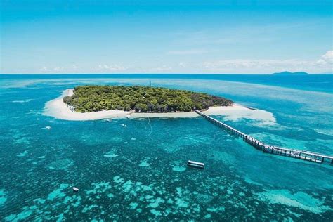 Green Island Ferry + Snorkeling or Glass Bottom Boat