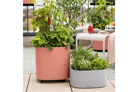 Pila Color Blomlåda För 4 Krukor Self Watering Planter Easy Care Plants Planters