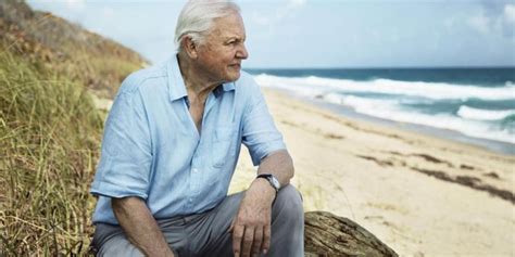 David Attenborough New Bbc Documentary The Breath Taking First Trailer