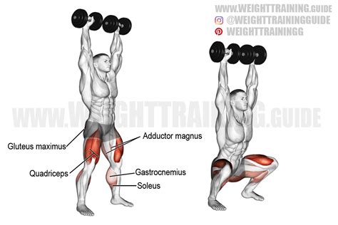 Dumbbell Squat Press