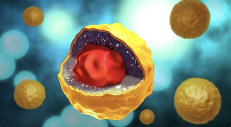 chlamydia   chlamydia