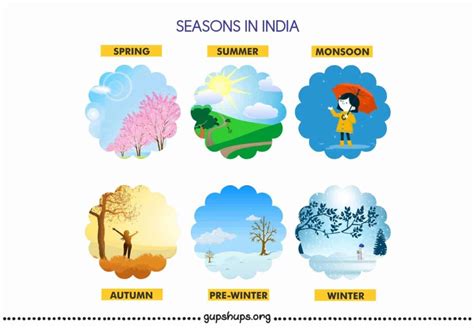 Seasons In India Spring Summer Pre Winter Winter Autumn And Rainy